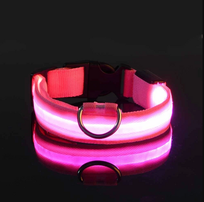 Nylon LED Night Safety Flashing Glow In The Dark Dog Leash Dogs Luminous Fluorescent Pet Dog Collar