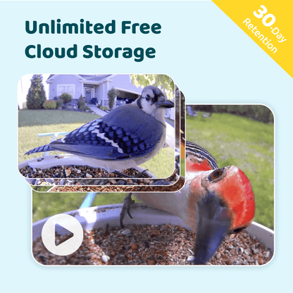 Birdfy Feeder - AI-Powered Smart Bird Feeder with Camera