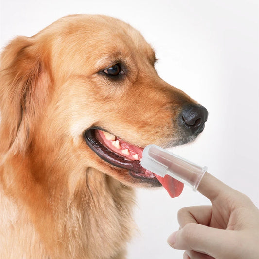 Super Soft Dog Toothbrushes Cleaning Finger Brush For Dog and Cat Grooming Nontoxic  Teethbrush  Dental Care Pet Products